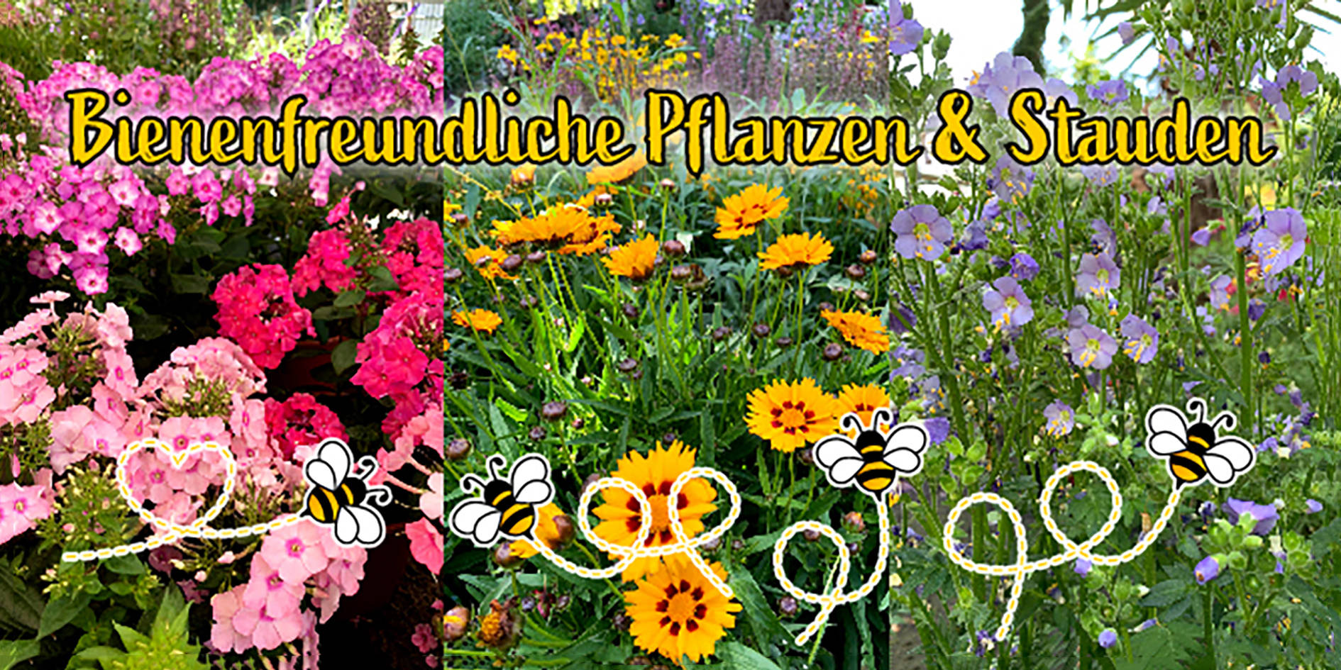 bienenfreundliche Pflanzen Gluecksgarten