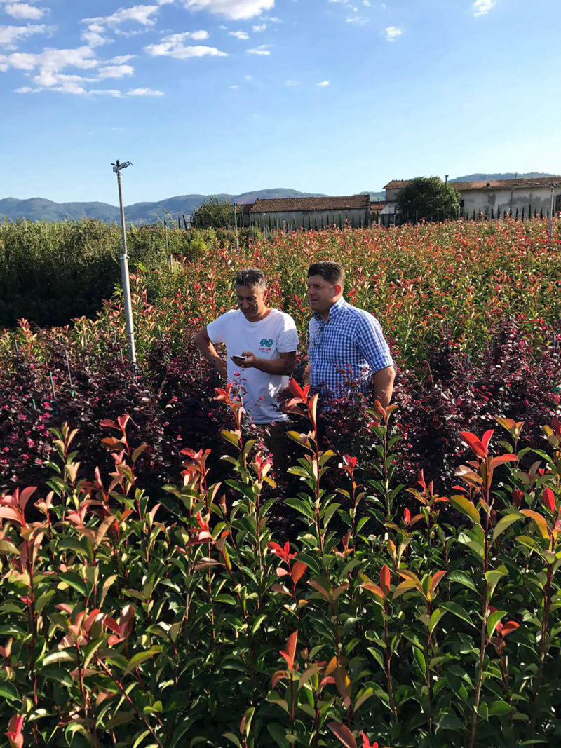 Pflanzen Glücksgarten