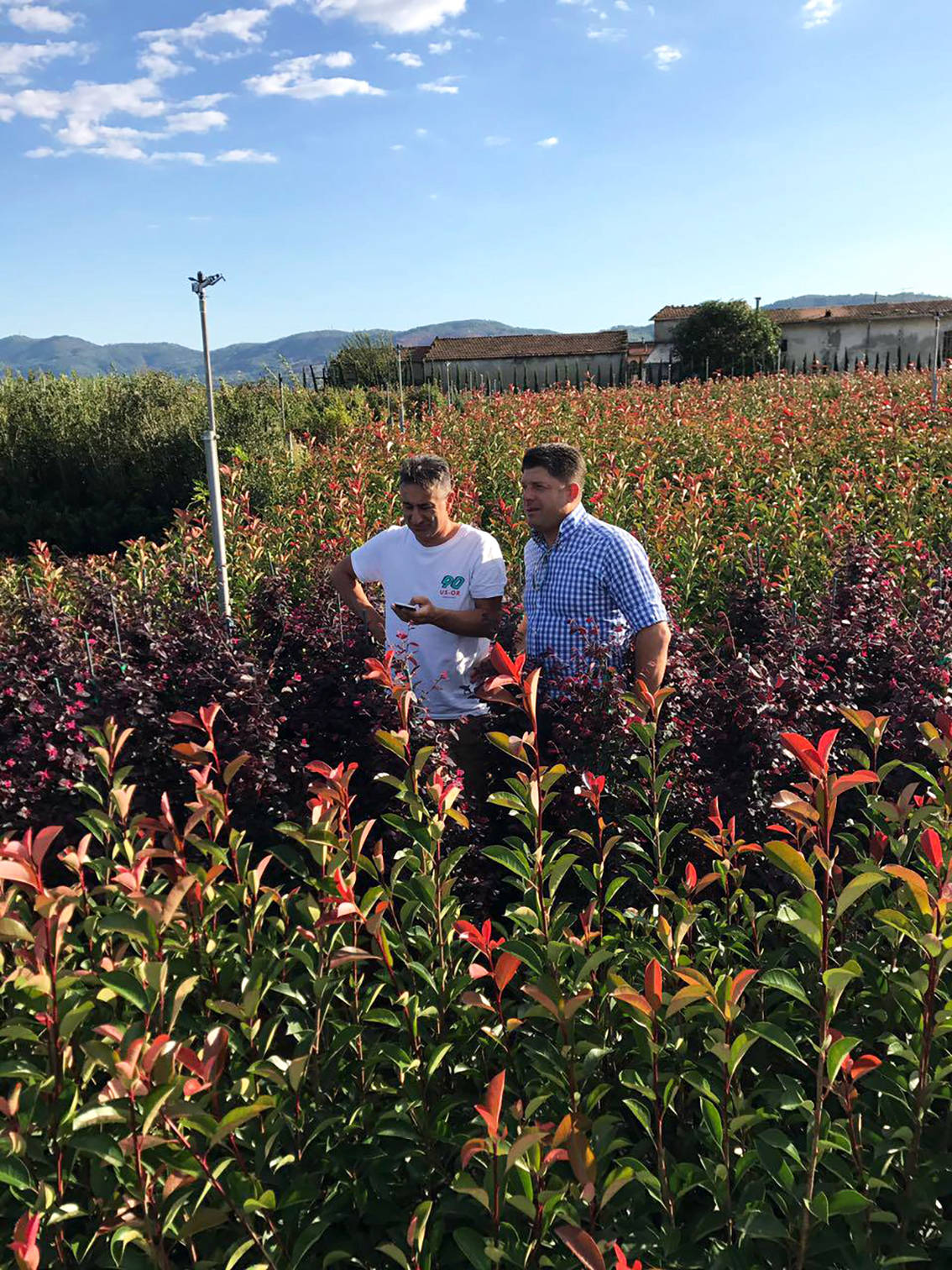 Pflanzen Glücksgarten